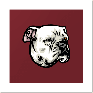 American Bulldog Portrait Drawing Posters and Art